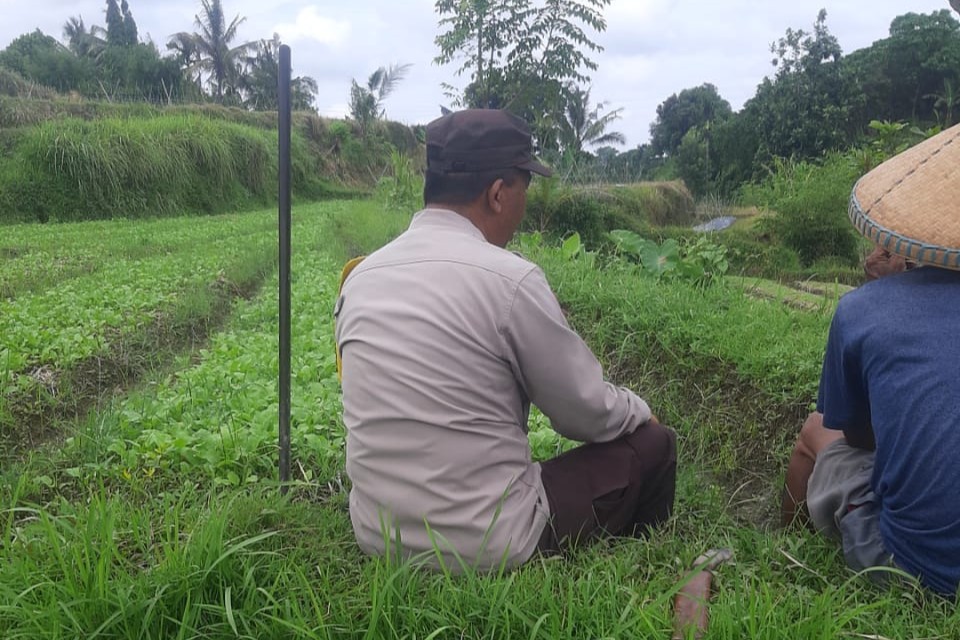 Dari Silaturahmi ke Swasembada Polri dan Warga Montong Are Bersinergi