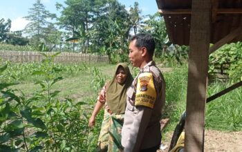 Gerakan Pekarangan Bergizi Mulai Diterapkan di Dasan Geres