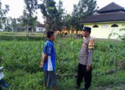 Ketahanan Pangan Desa Kuripan Didukung Langsung Aparat Kepolisian