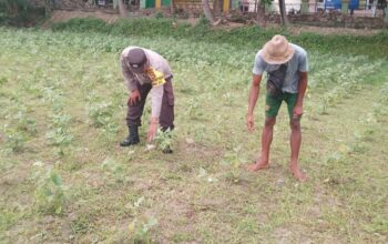 Ketahanan Pangan Lokal, Inisiatif Bhabinkamtibmas di Lombok Barat