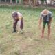 Ketahanan Pangan Lokal, Inisiatif Bhabinkamtibmas di Lombok Barat