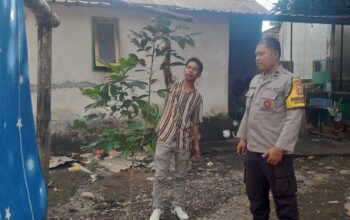 Kuripan Selatan Gerakkan Pekarangan Mandiri untuk Ketahanan Pangan