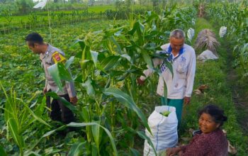 Polsek Kuripan Aktif Edukasi Petani Tanggapi Perubahan Iklim