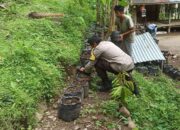 Membangun Ketahanan Pangan dari Pekarangan Rumah, Kisah Inspiratif dari Desa Batulayar (1)