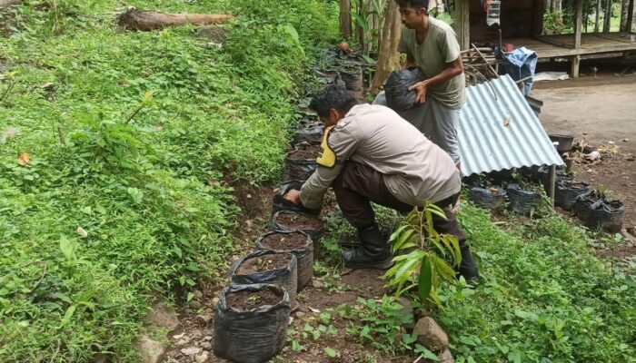 Ketahanan Pangan di Batulayar: Peran Strategis Pekarangan Bergizi dan Bhabinkamtibmas