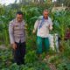 Sinergi Polri dan Petani Dusun Grepek Perkuat Program Ketahanan Pangan Nasional
