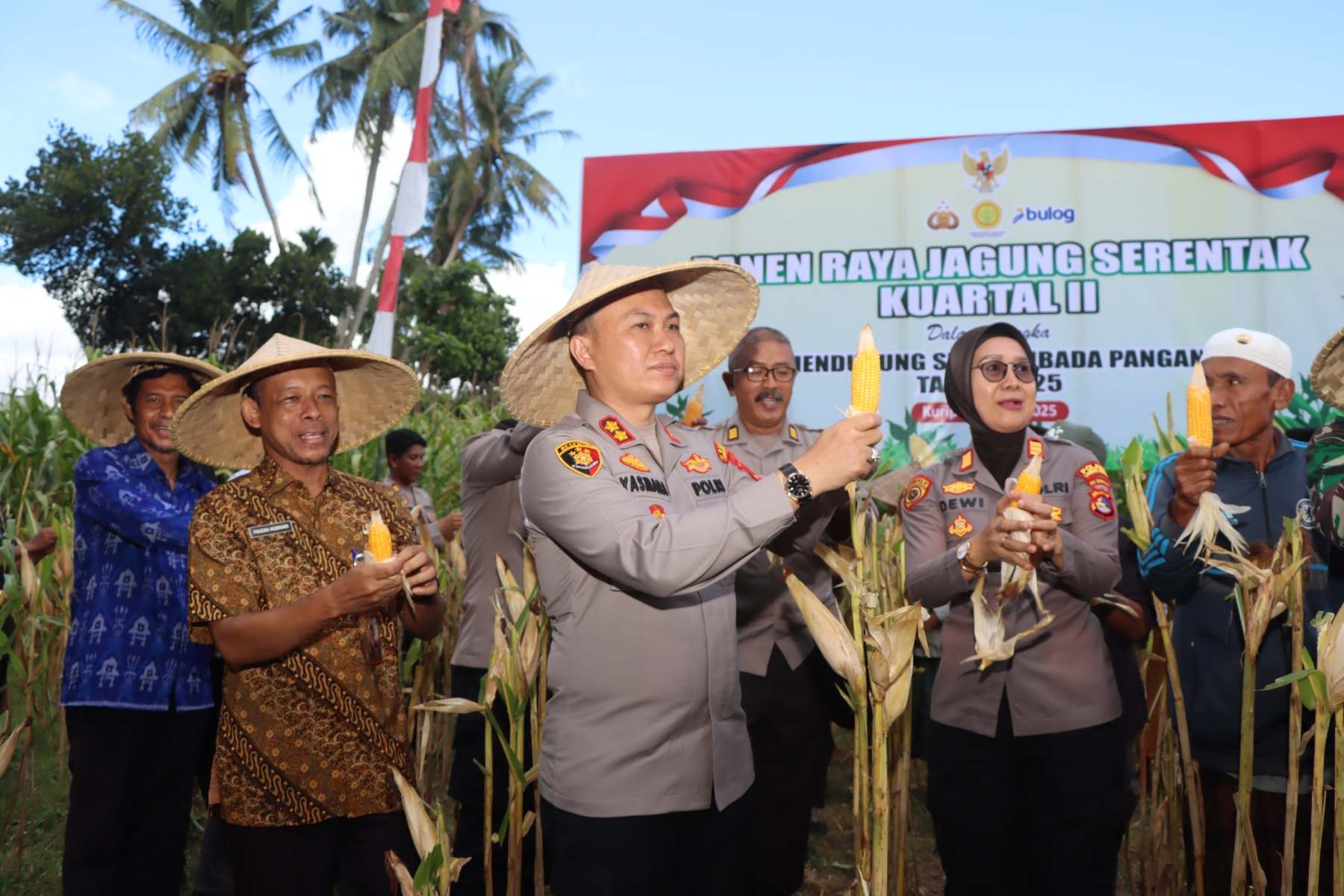 Dukungan Penuh Polri dan Pemda dalam Panen Raya Jagung NTB