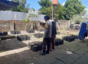 Pekarangan Bergizi Jadi Solusi Ketahanan Pangan di Desa Montong Are