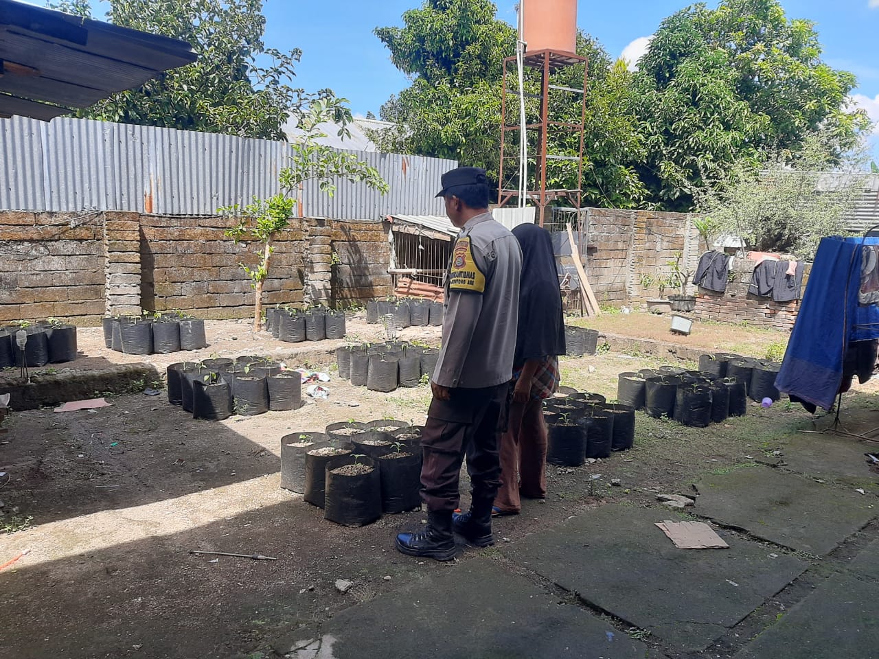 Pekarangan Bergizi Jadi Solusi Ketahanan Pangan di Desa Montong Are