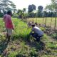 Pemanfaatan Lahan Pekarangan Didorong Bhabinkamtibmas Sekotong Barat