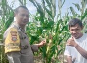 Pendampingan Petani oleh Bhabinkamtibmas di Desa Jagaraga Indah