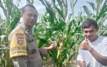 Pendampingan Petani oleh Bhabinkamtibmas di Desa Jagaraga Indah