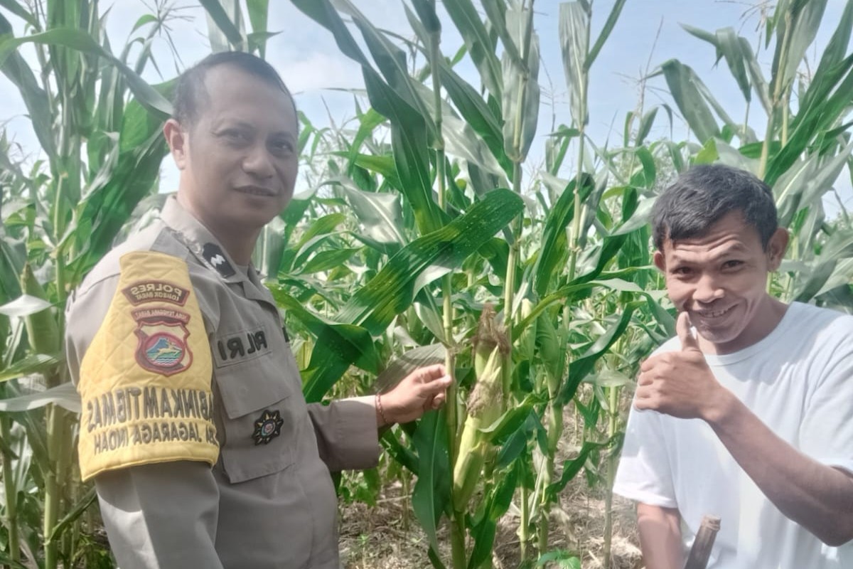 Pendampingan Petani oleh Bhabinkamtibmas di Desa Jagaraga Indah
