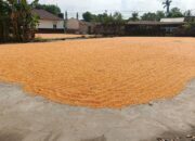 Pengawasan Gudang Jagung oleh Polsek Gerung Dukung Program Pangan