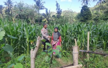 Peran Bhabinkamtibmas Desa Sekotong Timur dalam Program Pangan Nasional