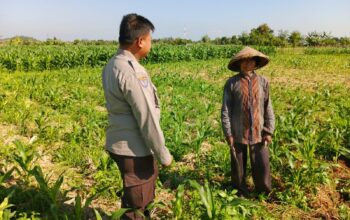 Peran Polsek Lembar dalam Ketahanan Pangan Desa