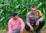 Kolaborasi Polri dan Warga Eyat Mayang: Pilar Ketahanan Pangan Lokal