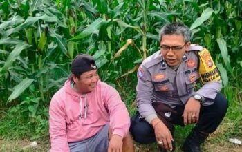 Kolaborasi Polri dan Warga Eyat Mayang: Pilar Ketahanan Pangan Lokal