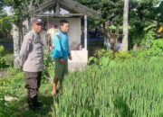 Polri Perkuat Swasembada Pangan di Desa Montong Are