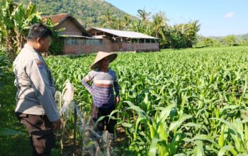 Polri dan Petani Bersinergi Wujudkan Ketahanan Pangan di Lembar, Lombok Barat