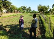 Polri di Lombok Barat Galakkan Ketahanan Pangan Skala Rumah Tangga