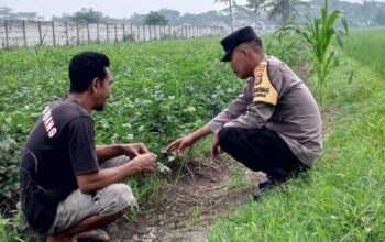 Polsek Kuripan Gandeng Warga Tongkek Wujudkan Swasembada Pangan Keluarga