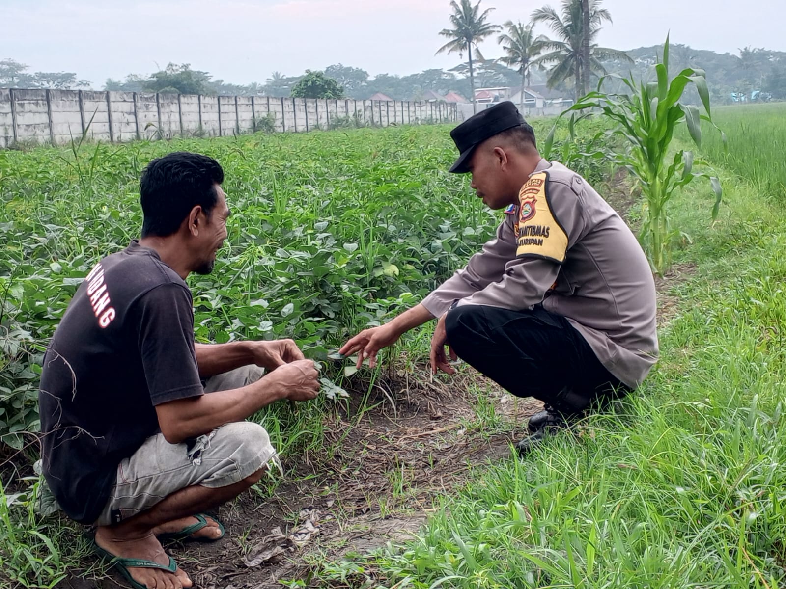 Polsek Kuripan Gandeng Warga Tongkek Wujudkan Swasembada Pangan Keluarga