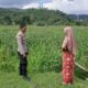 Sinergi Polri dan Petani: Wujud Nyata Ketahanan Pangan di Lombok Barat