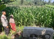 Polsek Lembar Dukung Ketahanan Pangan di Dusun Jelateng