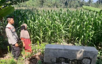 Bhabinkamtibmas Sambangi Petani Jagung di Sekotong Timur