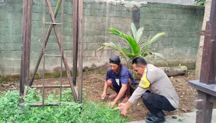Ketahanan Pangan Dimulai dari Pekarangan: Inisiatif di Dusun Batusamban