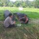 Bhabinkamtibmas Lembar Dampingi Petani Jagung dan Cabai