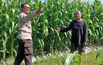 Sinergi Polri-Petani Dukung Ketahanan Pangan di Lombok Barat