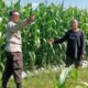 Sinergi Polri-Petani Dukung Ketahanan Pangan di Lombok Barat