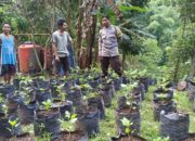 Sinergi Polri dan Warga Batulayar untuk Pekarangan Bergizi