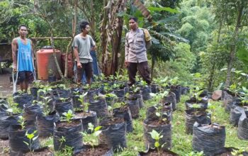 Sinergi Polri dan Warga Batulayar untuk Pekarangan Bergizi