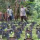 Dukung Swasembada Pangan, Bhabinkamtibmas Desa Batulayar Turun ke Lapangan