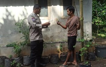 Polsek Batulayar Dukung Swasembada Pangan dari Rumah Warga
