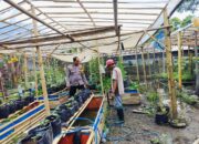 Bhabinkamtibmas Desa Bajur Dorong Kemandirian Pangan Warga Tempit