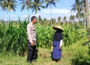 Sinergi Polri dan Petani Eyat Mayang Perkuat Ketahanan Pangan Nasional