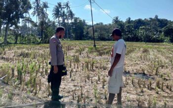 Bhabinkamtibmas Kuripan Galakkan Ketahanan Pangan Rumah Tangga