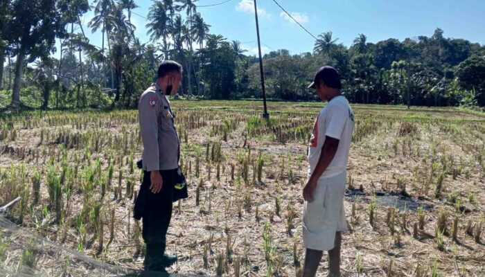 Bhabinkamtibmas Kuripan Galakkan Ketahanan Pangan Rumah Tangga