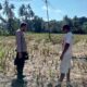 Bhabinkamtibmas Kuripan Galakkan Ketahanan Pangan Rumah Tangga