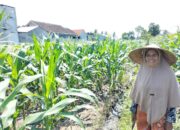 Bhabinkamtibmas Labuapi Ajak Warga Optimalkan Lahan Pekarangan untuk Ketahanan Pangan
