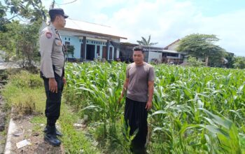 Bhabinkamtibmas Labuapi Dorong Pemanfaatan Lahan Kosong untuk Ketahanan Pangan
