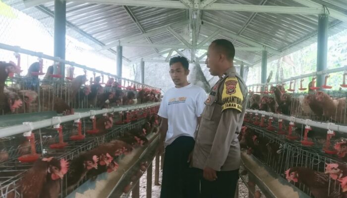Sinergi Polisi dan Warga Sekotong Bangun Ketahanan Pangan Keluarga
