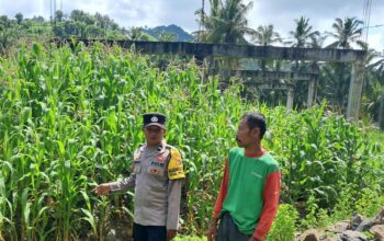 Bhabinkamtibmas Sekotong Dorong Pemanfaatan Pekarangan untuk Ketahanan Pangan