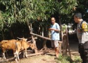 Bhabinkamtibmas Batulayar Barat Dorong Pangan Mandiri