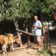 Bhabinkamtibmas Batulayar Barat Dorong Pangan Mandiri