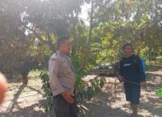 Ketahanan Pangan Desa Merembu Didorong Lewat Jalan Usaha Tani Baru